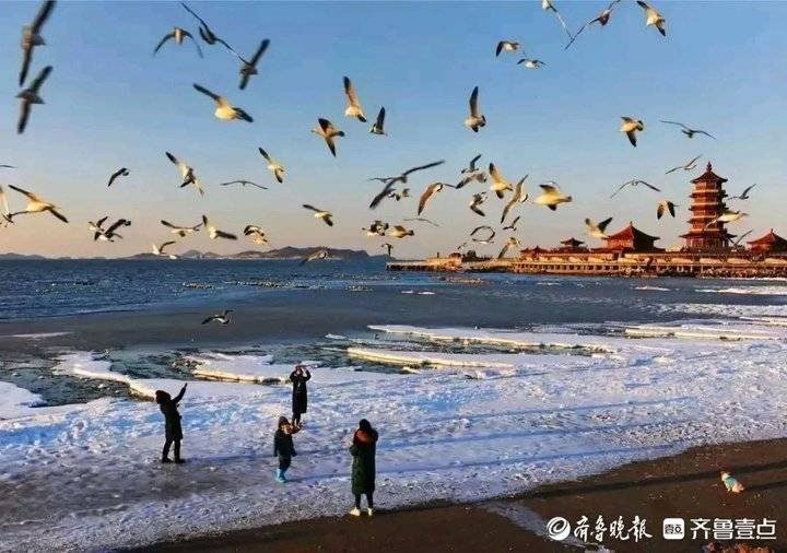 济郑高铁开通一周年，百万客流差背后的山东“流量”密码