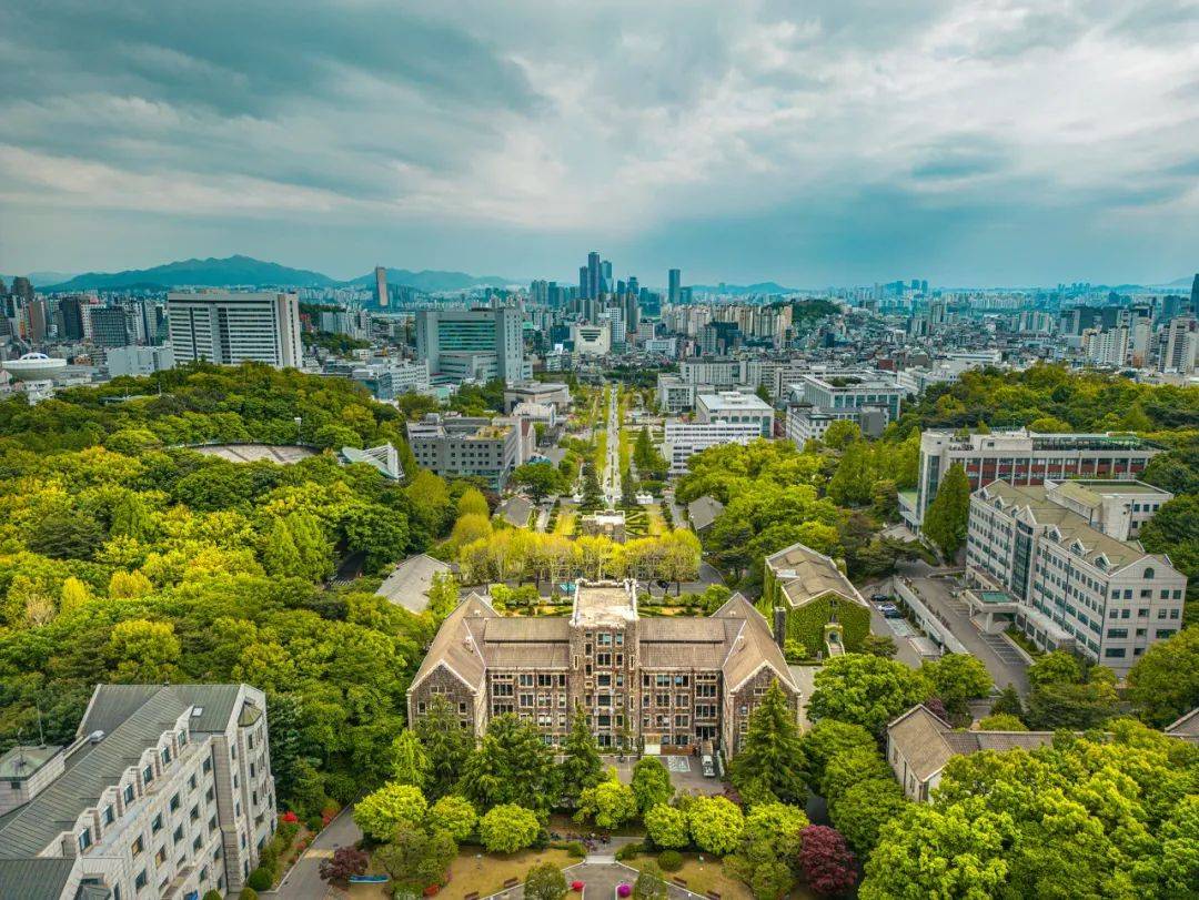 被学费背刺的裸辞人，涌向留学平替圣地