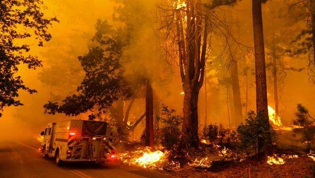 重磅！加州山火成美国噩梦，29人丧生，经济损失超2500亿美元！