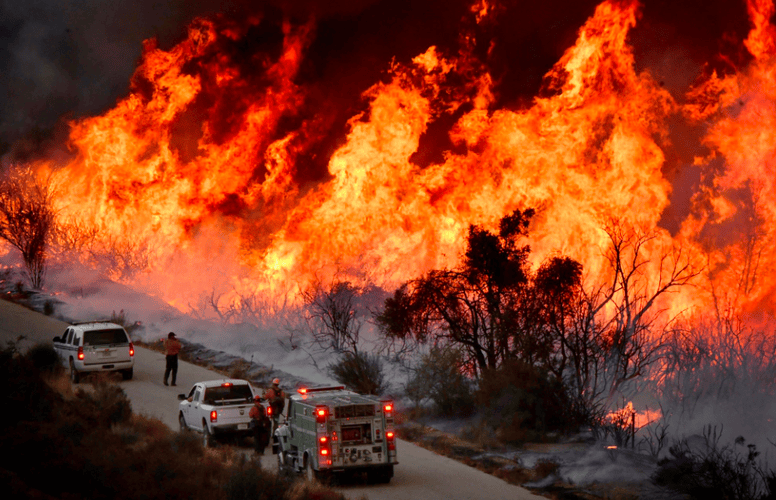 重磅！加州山火成美国噩梦，29人丧生，经济损失超2500亿美元！