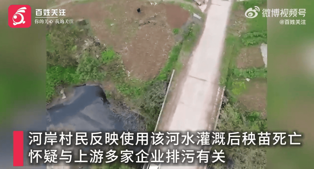 重庆一河水黑臭灌溉农田秧苗枯死，当地镇政府通报
