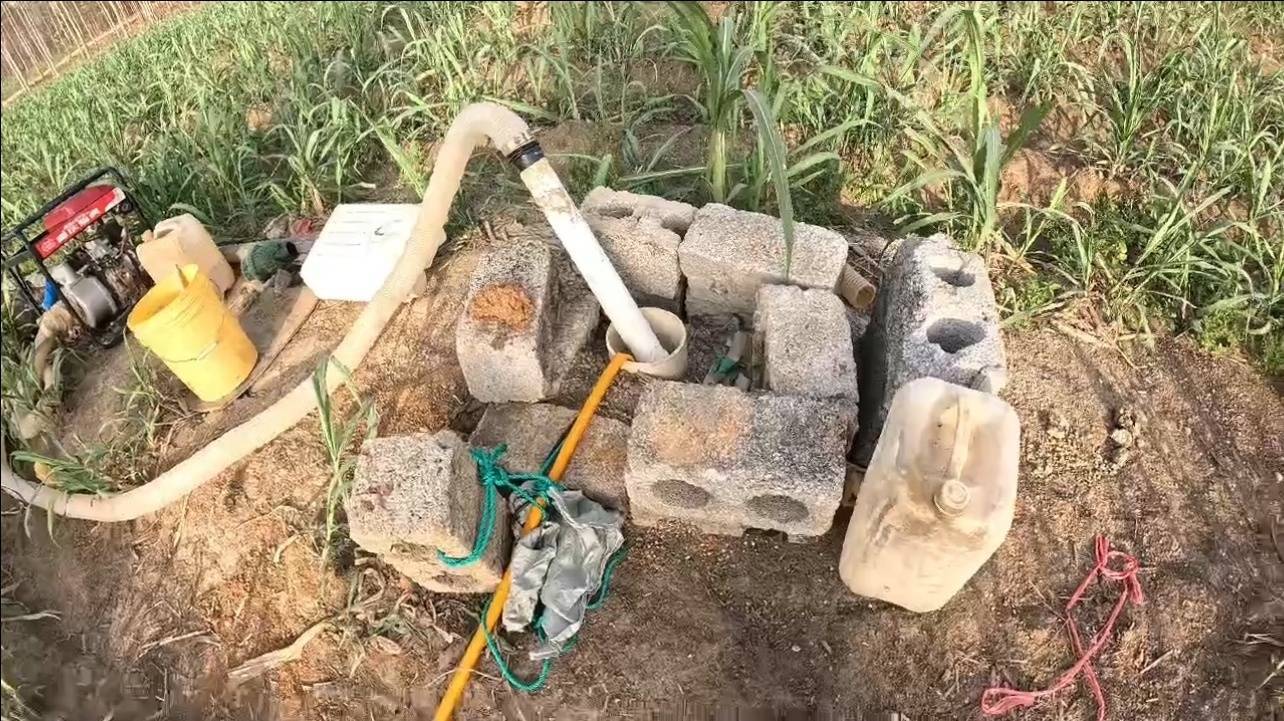 广西贵港干旱村民抽水救甘蔗，镇政府：已组织打井、布管