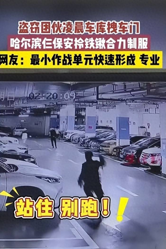 27日凌晨，仨小偷趁夜色进入哈尔滨一小区行窃，仨保安拎着铁锹将其制服