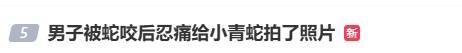随意放生“五步蛇”？被毒蛇咬伤，这一动作能“保命”