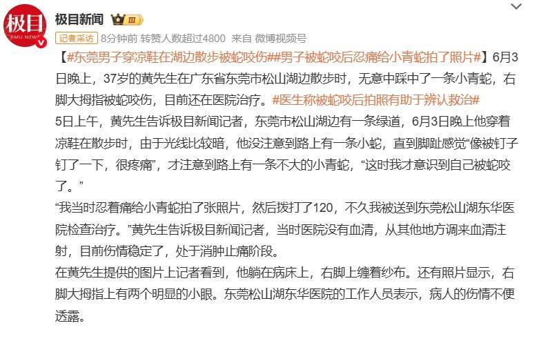 随意放生“五步蛇”？被毒蛇咬伤，这一动作能“保命”