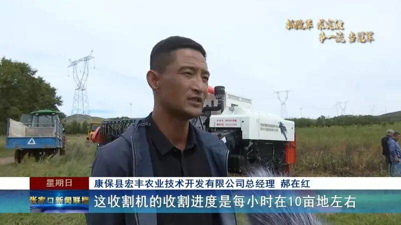 【抓改革 求突破 争一流 当冠军】科技赋能秋收 张家口食用豆全机械化收割按下“快进键”