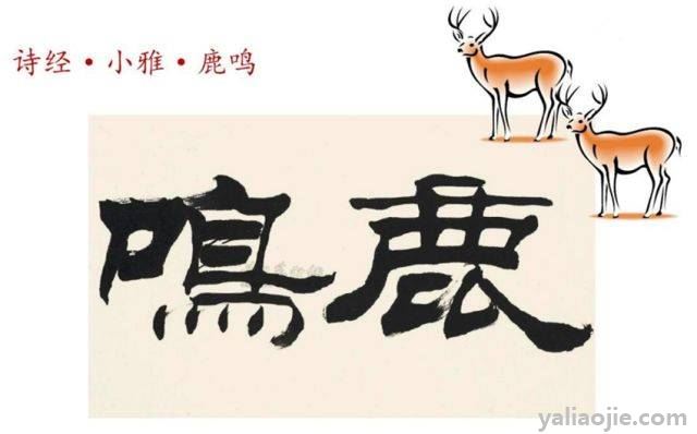 币帛(币帛是什么意思)