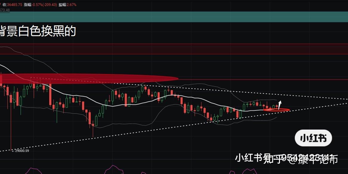 币乎行情(币乎实时价格)