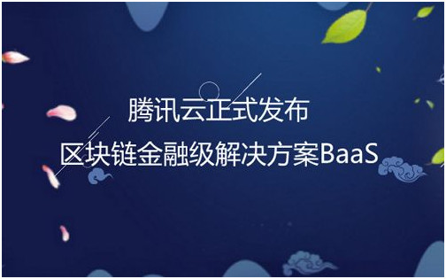 币圈群论坛(币圈论坛社区有哪些)