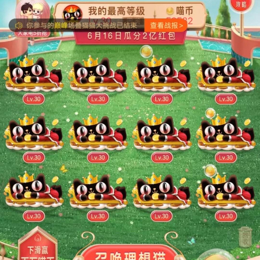 喵喵币(喵喵币是什么东西)