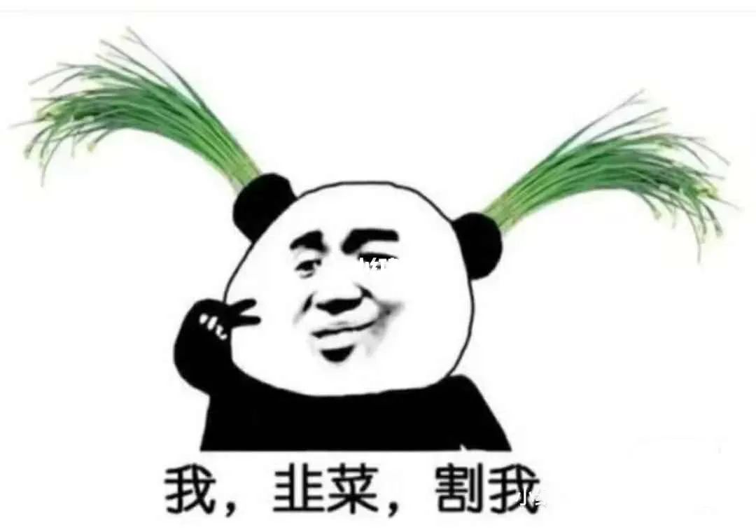 炒币割韭菜(割韭菜赚钱术)