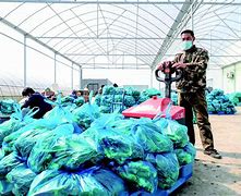 微爱农场彩虹币(微爱农场彩虹币兑换方式)