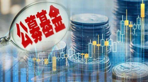 公募证券投资基金(公募证券投资基金的投资范围)