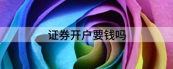 炒股哪个证券公司开户好(买股票开户哪个证券公司好)
