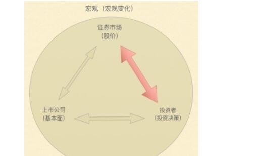 市场证券线(证券市场线sml)