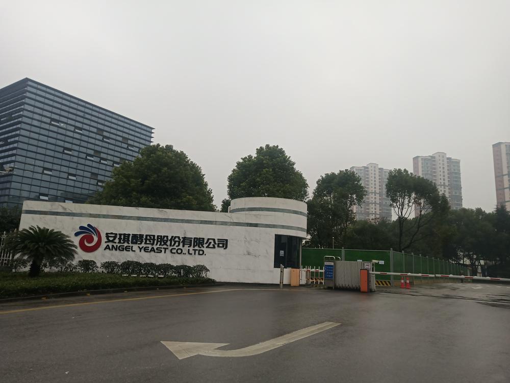 方正证券总部(方正证券总部客服电话)