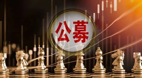 公募证券投资基金(公募证券投资基金利益共享风险共担)